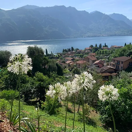 Zinnia Lakeview 아파트 벨라지오