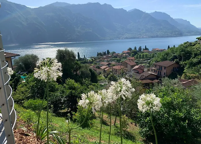 Zinnia Lakeview 아파트 벨라지오